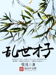 乱世才子封面