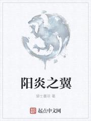 阳炎之翼封面