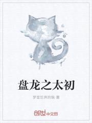盘龙之太初封面