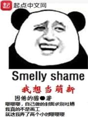 我想当萌新封面
