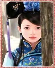 紫薇格格传奇封面