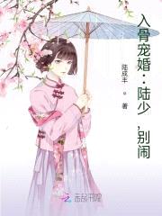 军阀大帅，别闹！封面