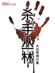 杀手丛林封面