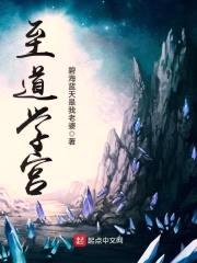 诸道学宫封面