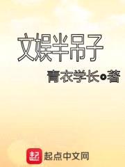 文娱半吊子封面