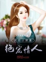 天价小娇妻：绝宠情人封面