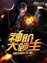 神阶大领主封面