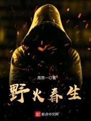 野火春生封面