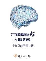 异端调查之大脑游戏封面