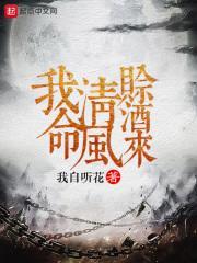 我命清风赊酒来封面