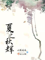 夏之秋辉封面