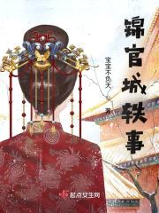 锦官城轶事封面