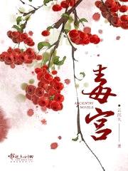 毒宫封面