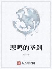 悲鸣的圣剑封面