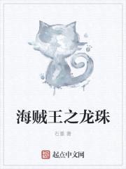 海贼王之龙珠封面