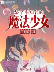 某个不知名的魔法少女的故事封面
