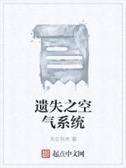 遗失之空气系统封面