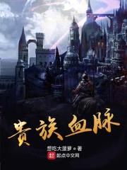 贵族血脉封面