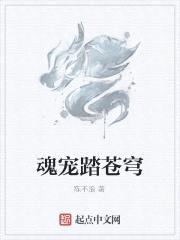 魂宠踏苍穹封面