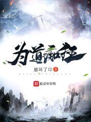 为道痴狂封面