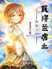 我有一片瓦洛兰废土封面