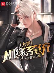 大梦机缘系统封面