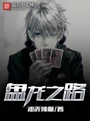 盘龙之路封面