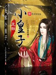 无敌小皇子封面