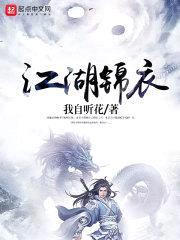 江湖锦衣封面