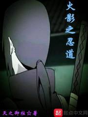 火影之忍道封面