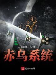 赤乌系统封面