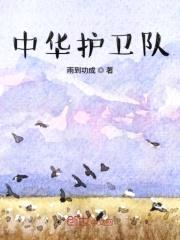 中华护卫队封面