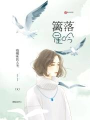 篱落星吟封面
