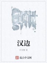 汉边封面