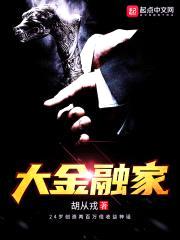大金融家封面