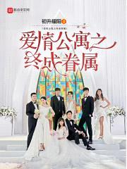 爱情公寓之终成眷属封面