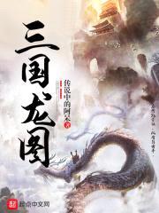 三国龙图封面