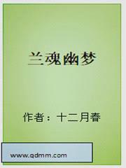 兰魂幽梦封面