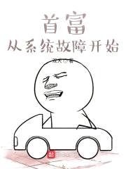 首富从系统故障开始封面