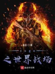 csgo之世界战场封面
