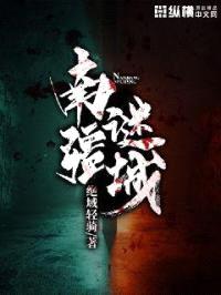 南疆谜城封面