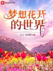 梦想花开的世界封面