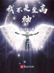 我不是至高神封面