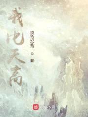 我比天高封面