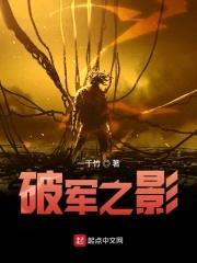 破军之影封面