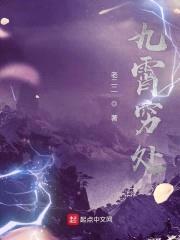 九霄穷处封面