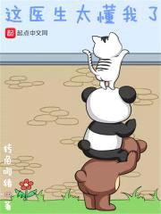 这医生太懂我了封面