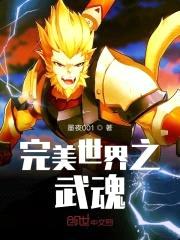完美世界之武魂封面
