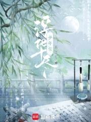 浮华尽少年归封面