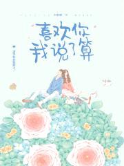 喜欢你我说了算封面